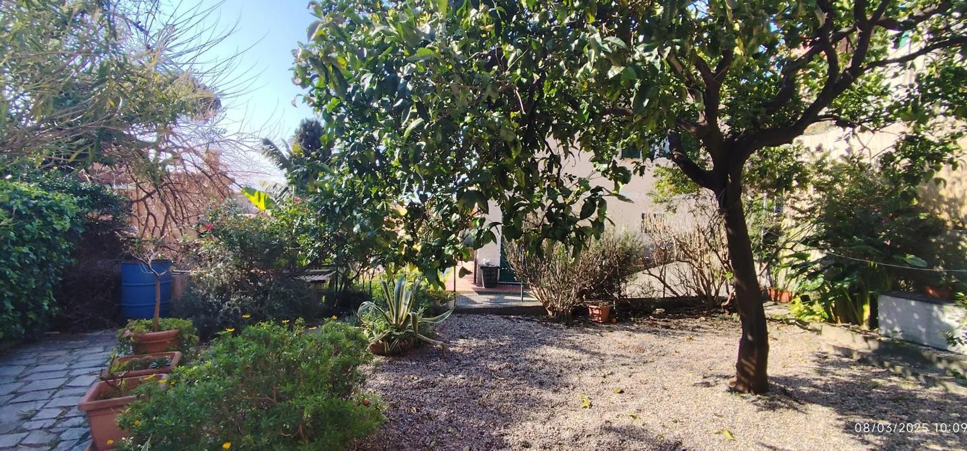 Mulinetti Apartment Recco